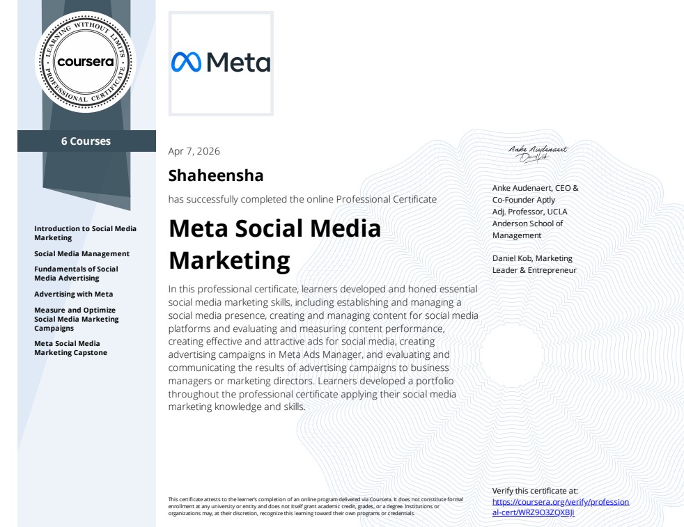Meta Digital Marketing Associate